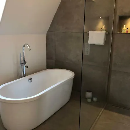 Lejlighed Napoleon Chateau Luxuryapartment For 18 Guests With Pool Near Paris!